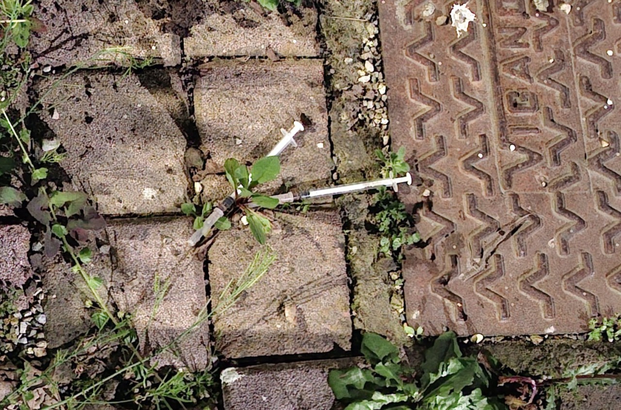 Due siringhe abbandonate nel “Giardino delle farfalle” di Rivolta d’Adda