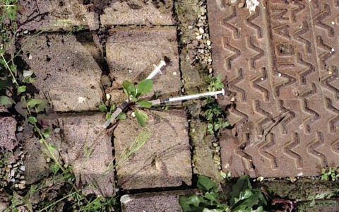 Due siringhe abbandonate nel “Giardino delle farfalle” di Rivolta d’Adda